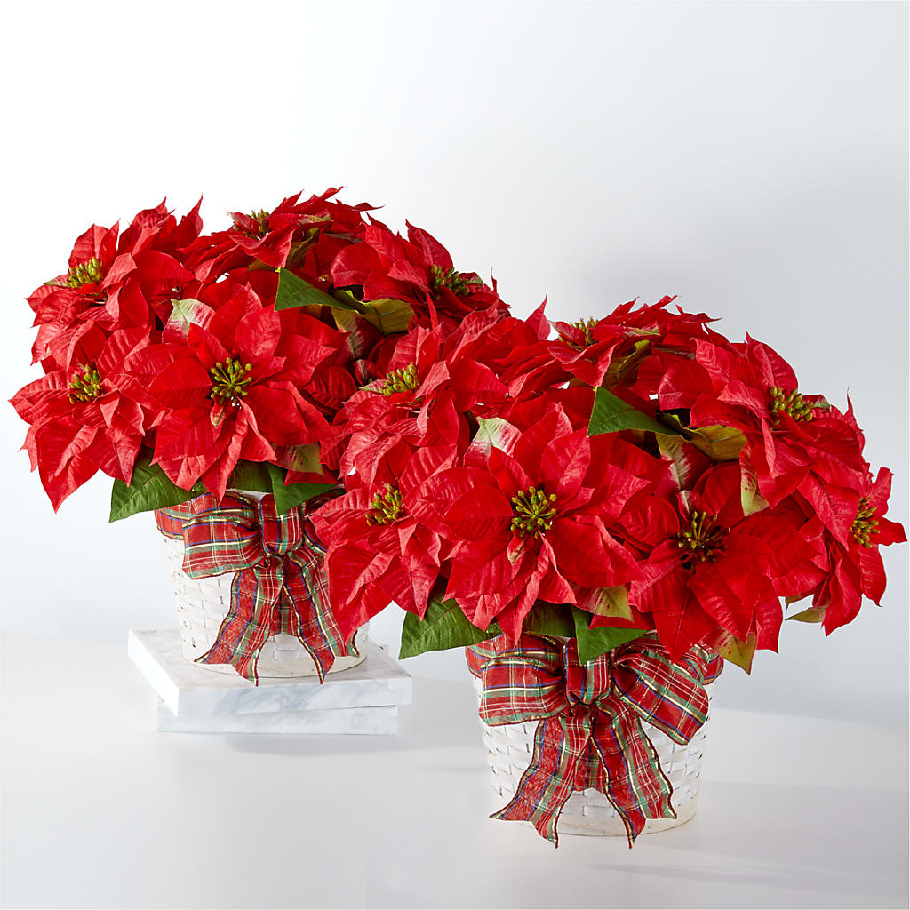 Happiest Holidays Poinsettia Bundle – Floreria Mexico, Huntington Park CA