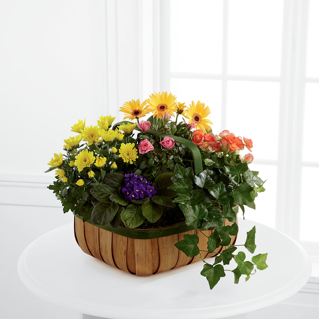 Gentle Blossoms Basket – Floreria Mexico, Huntington Park CA