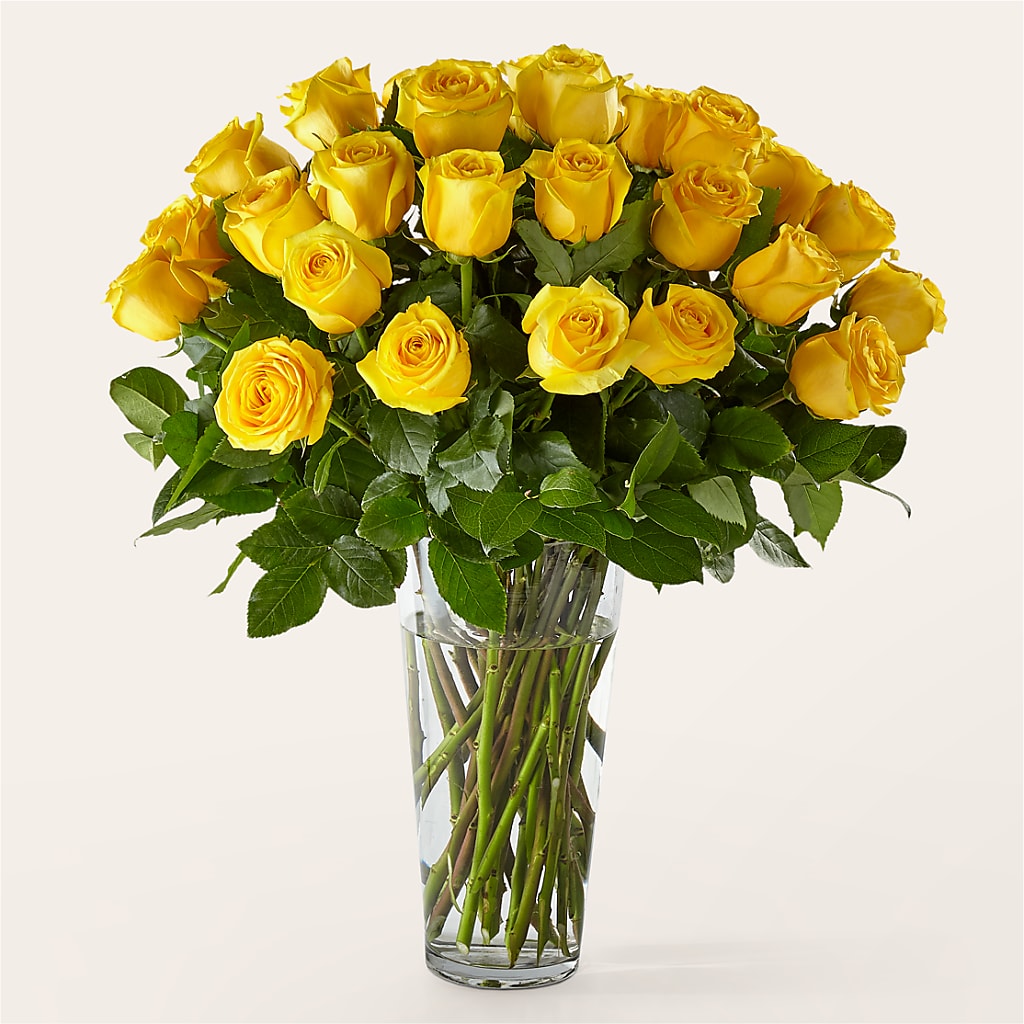 Long Stem Yellow Rose Bouquet – Floreria Mexico, Huntington Park CA