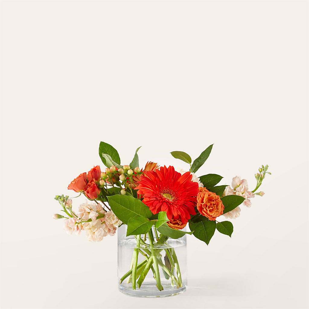 Paloma Please Bouquet – Floreria Mexico, Huntington Park CA