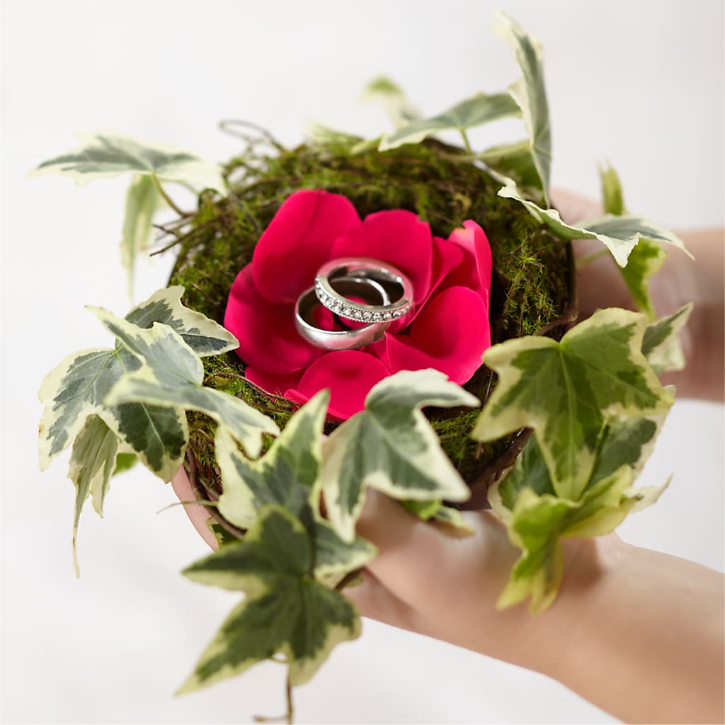 Lila Rose Ring Nest – Floreria Mexico, Huntington Park CA