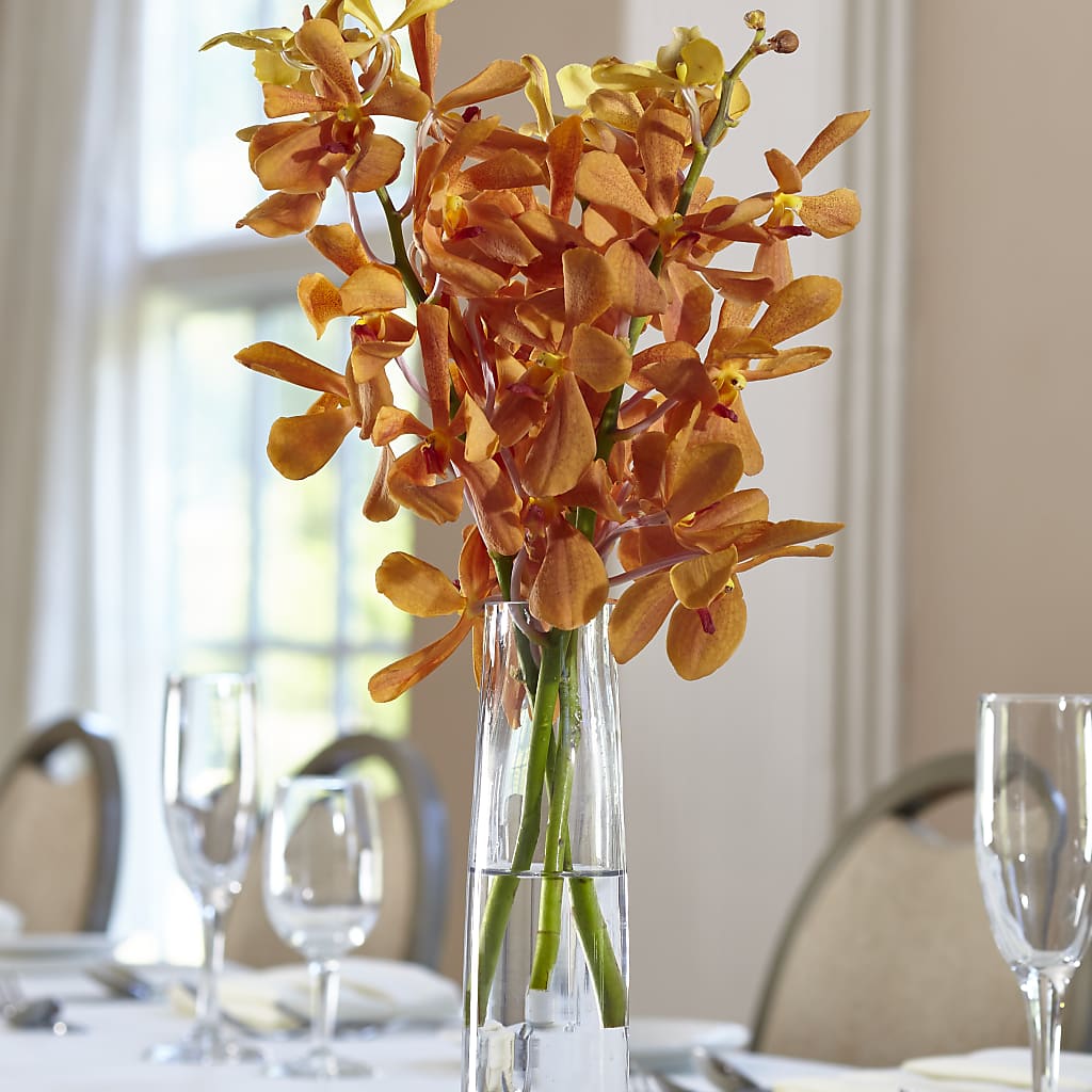 Orange Mokara Bud Vase – Floreria Mexico, Huntington Park CA