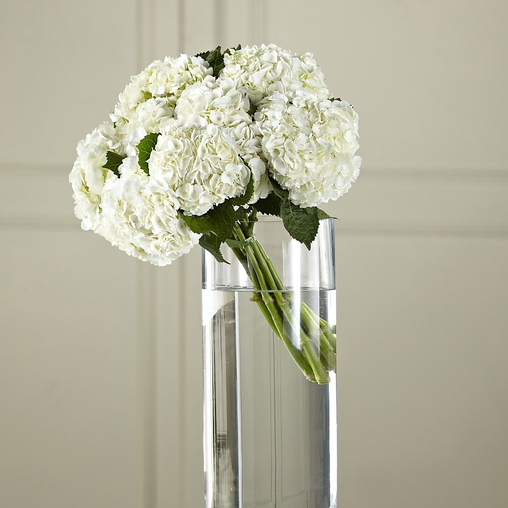 White Hydrangea Hand-Tied Bouquet – Floreria Mexico, Huntington Park CA