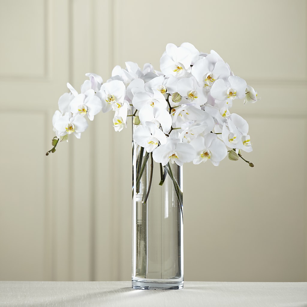 White Phalaenopsis Bouquet – Floreria Mexico, Huntington Park CA