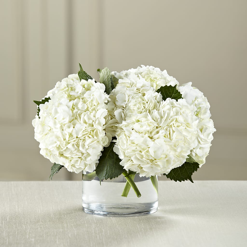 White Hydrangea Bouquet – Floreria Mexico, Huntington Park CA
