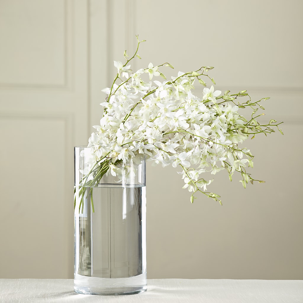 White Dendrobium Bouquet – Floreria Mexico, Huntington Park CA