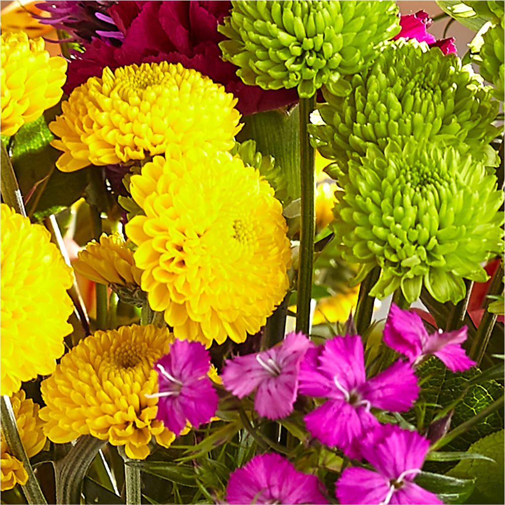 Bold & Bright – A Florist Original –  Floreria Mexico, Huntington Park CA