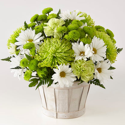 Lucky Charm Basket (Standard) –  Floreria Mexico, Huntington Park CA