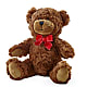 Adorable Plush Bear –  Floreria Mexico, Huntington Park CA