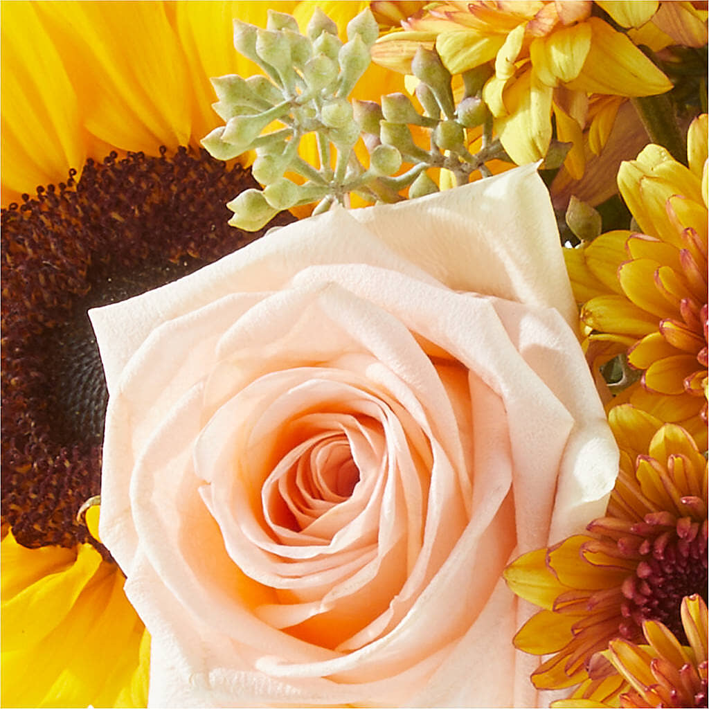 Pumpkin to Talk About Bouquet –  Floreria Mexico, Huntington Park CA