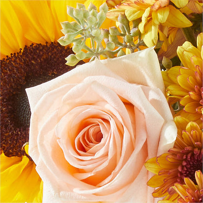 Pumpkin to Talk About Bouquet –  Floreria Mexico, Huntington Park CA