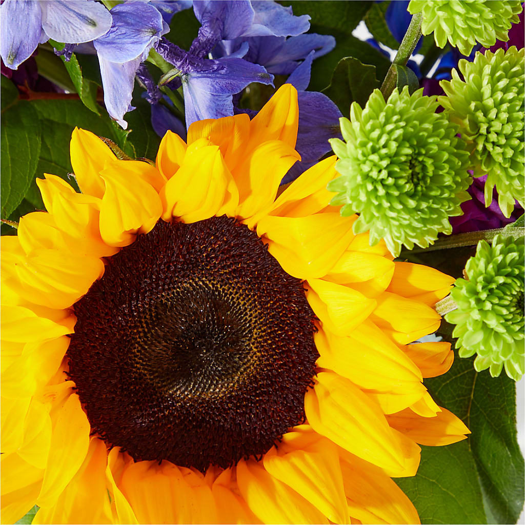 Catching Rays Bouquet –  Floreria Mexico, Huntington Park CA