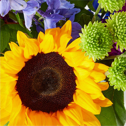 Catching Rays Bouquet –  Floreria Mexico, Huntington Park CA