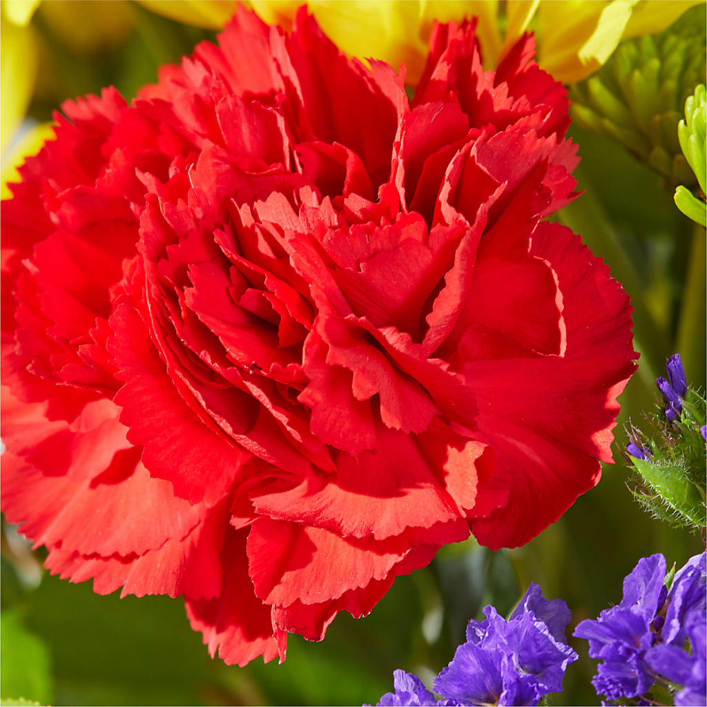 Brighter Days Bouquet –  Floreria Mexico, Huntington Park CA