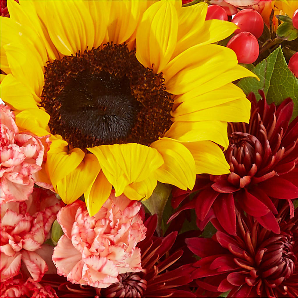 Fresh Cider Bouquet –  Floreria Mexico, Huntington Park CA