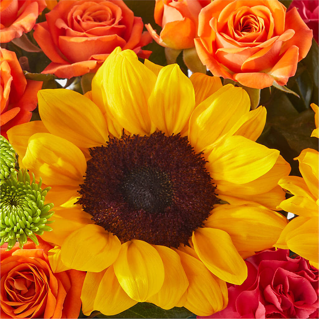 Sun-drenched Blooms Box Bouquet –  Floreria Mexico, Huntington Park CA