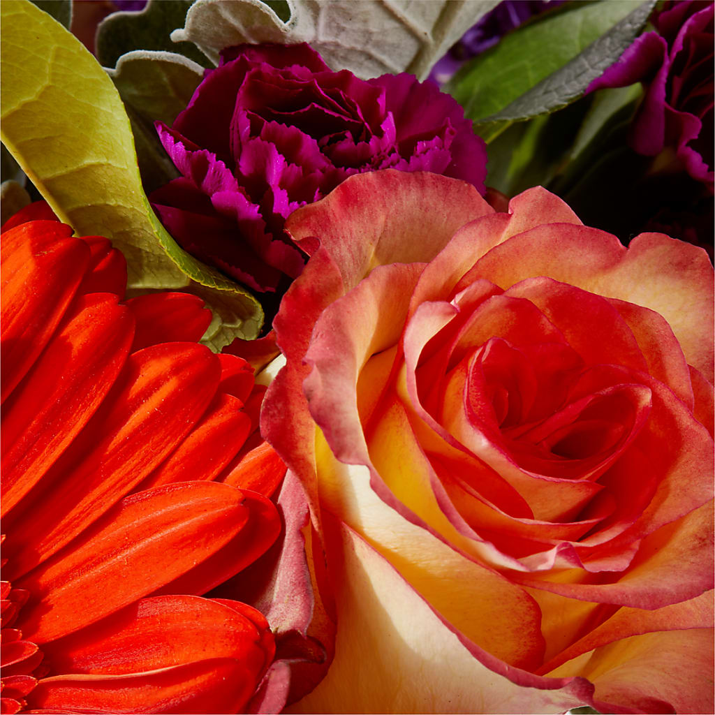 Sangria Bouquet –  Floreria Mexico, Huntington Park CA