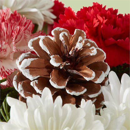 Candy Cane Lane Bouquet –  Floreria Mexico, Huntington Park CA