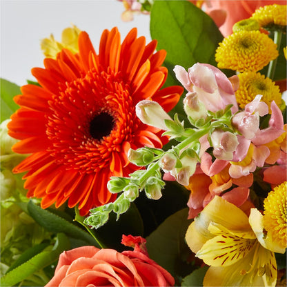 Autumn Sunshine Bouquet –  Floreria Mexico, Huntington Park CA