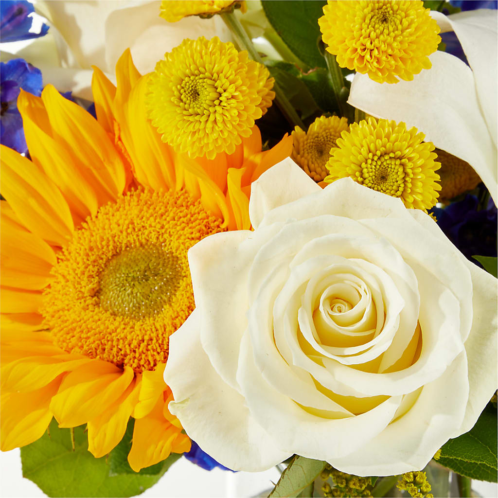 Stargazing Bouquet –  Floreria Mexico, Huntington Park CA