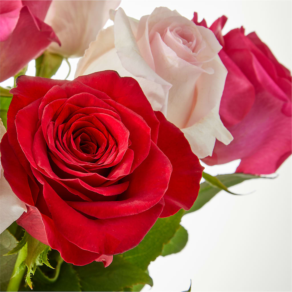Charming Rose Bouquet –  Floreria Mexico, Huntington Park CA