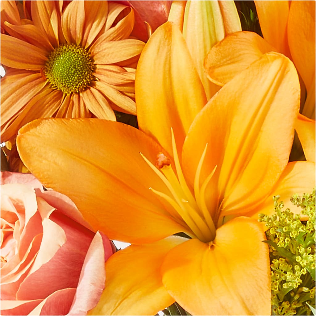 Harvest Hayride Bouquet –  Floreria Mexico, Huntington Park CA