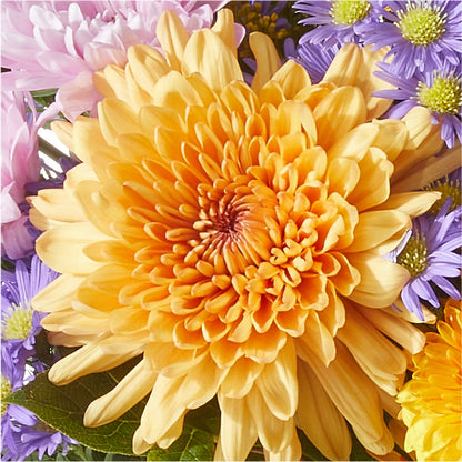 Countryside Bouquet –  Floreria Mexico, Huntington Park CA