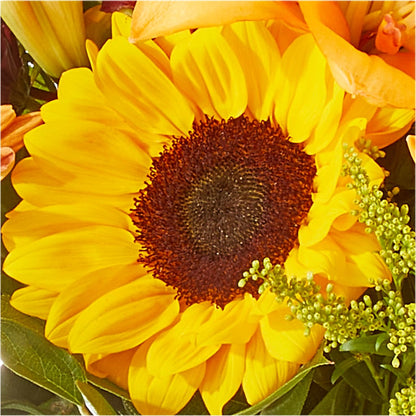 Seasons Change Bouquet –  Floreria Mexico, Huntington Park CA