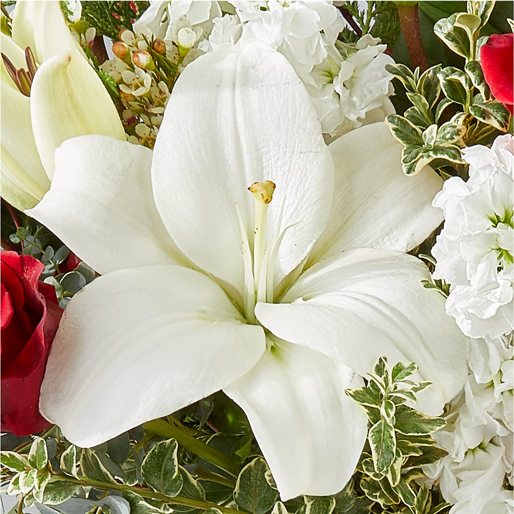 Twinkle Lights Bouquet –  Floreria Mexico, Huntington Park CA