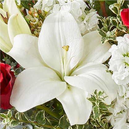 Twinkle Lights Bouquet –  Floreria Mexico, Huntington Park CA