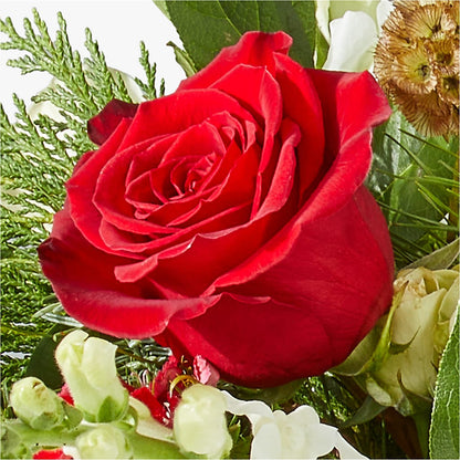 Deck the Halls Bouquet –  Floreria Mexico, Huntington Park CA
