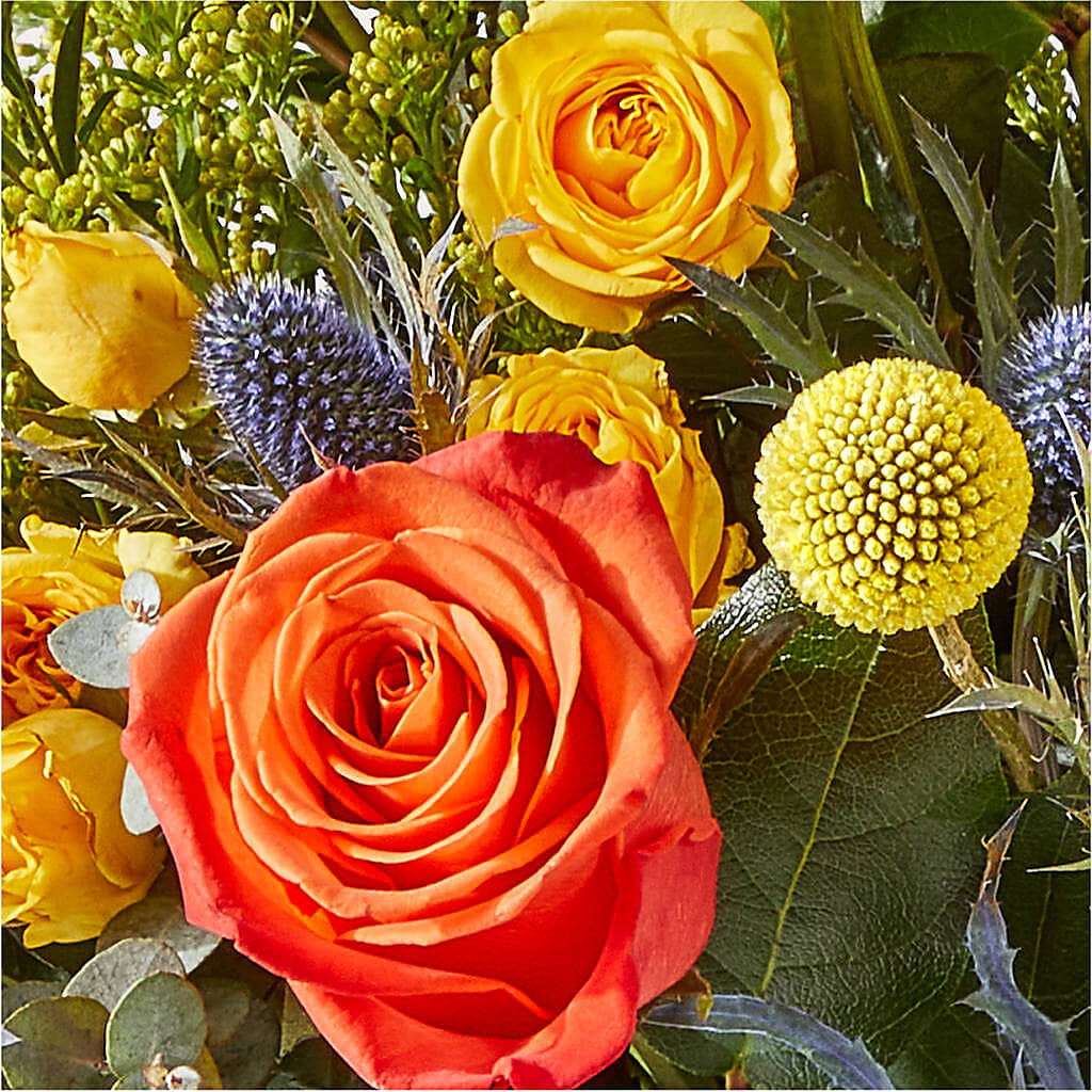 Disco Bouquet –  Floreria Mexico, Huntington Park CA