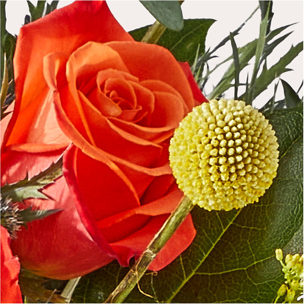 Disco Bouquet –  Floreria Mexico, Huntington Park CA