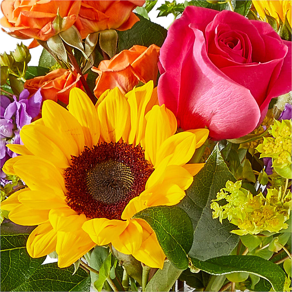 Vibrant Greetings Bouquet –  Floreria Mexico, Huntington Park CA