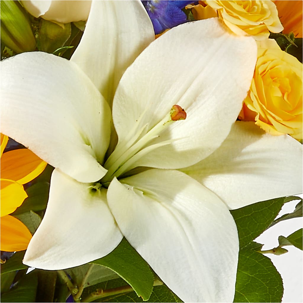 Wonderfully Sunny Bouquet –  Floreria Mexico, Huntington Park CA
