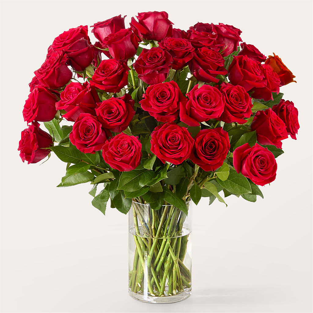 The One Red Rose Bouquet –  Floreria Mexico, Huntington Park CA