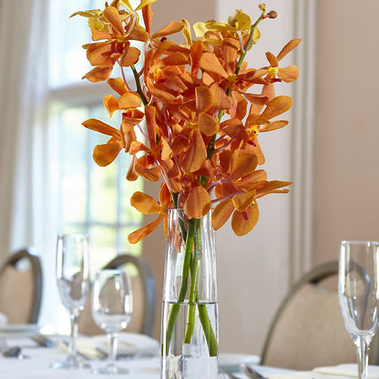 Orange Mokara Bud Vase –  Floreria Mexico, Huntington Park CA
