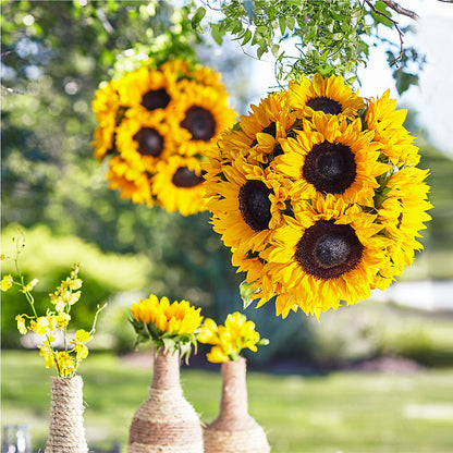 Sublime Garden Hanging Arrangement –  Floreria Mexico, Huntington Park CA