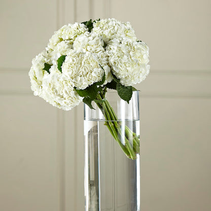 White Hydrangea Hand-Tied Bouquet –  Floreria Mexico, Huntington Park CA