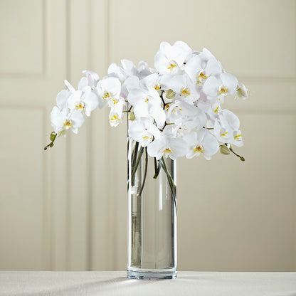 White Phalaenopsis Bouquet –  Floreria Mexico, Huntington Park CA