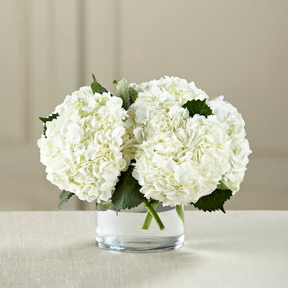 White Hydrangea Bouquet –  Floreria Mexico, Huntington Park CA